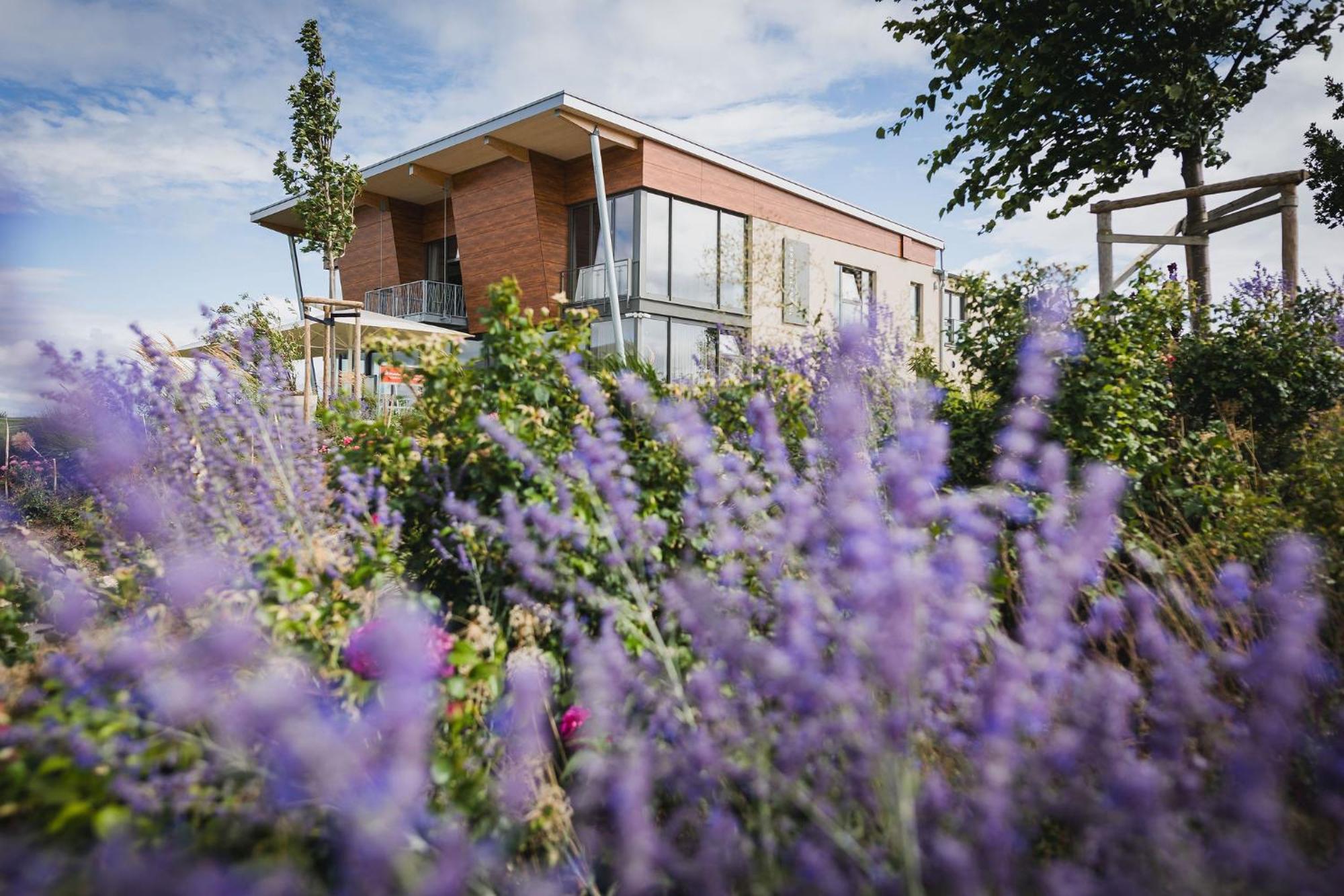 Weinzuhause Hotel-Restaurant-Vinothek Mommenheim Eksteriør billede