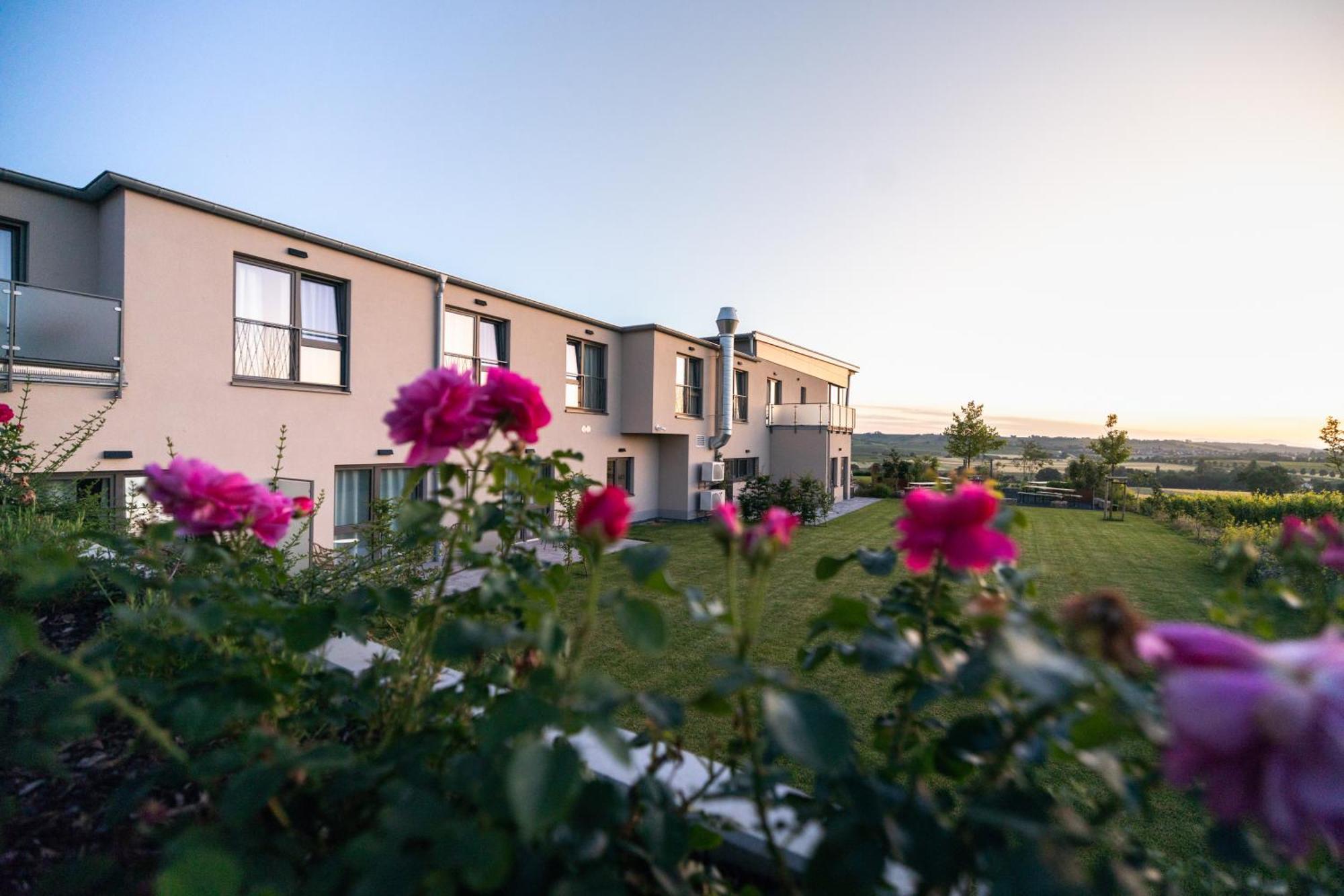 Weinzuhause Hotel-Restaurant-Vinothek Mommenheim Eksteriør billede